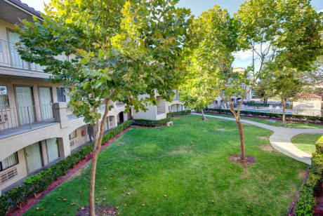 Inn At Rohnert Park - Courtyard